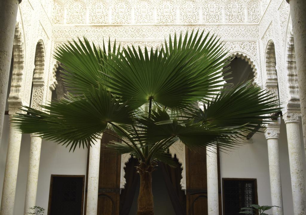 Riad Azahra Rabat Exterior photo